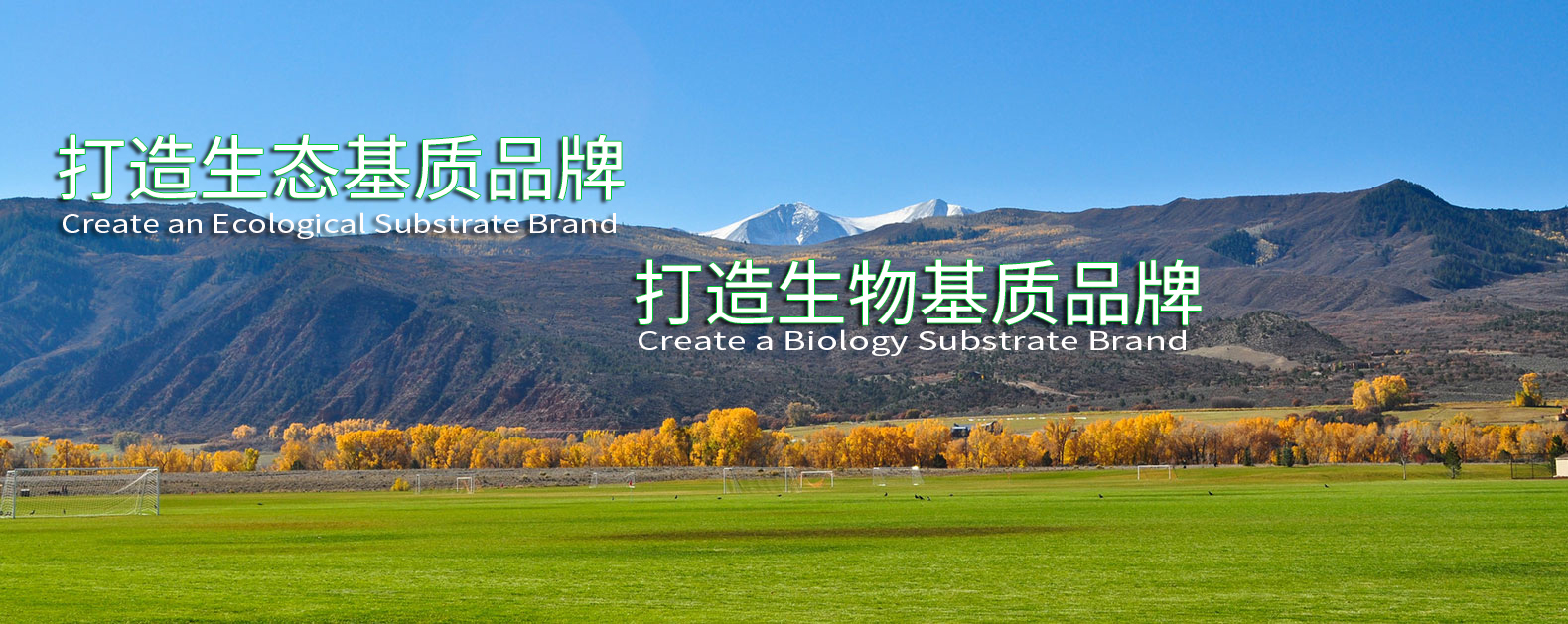 MrCat猫先生电竞(中国)官方网站