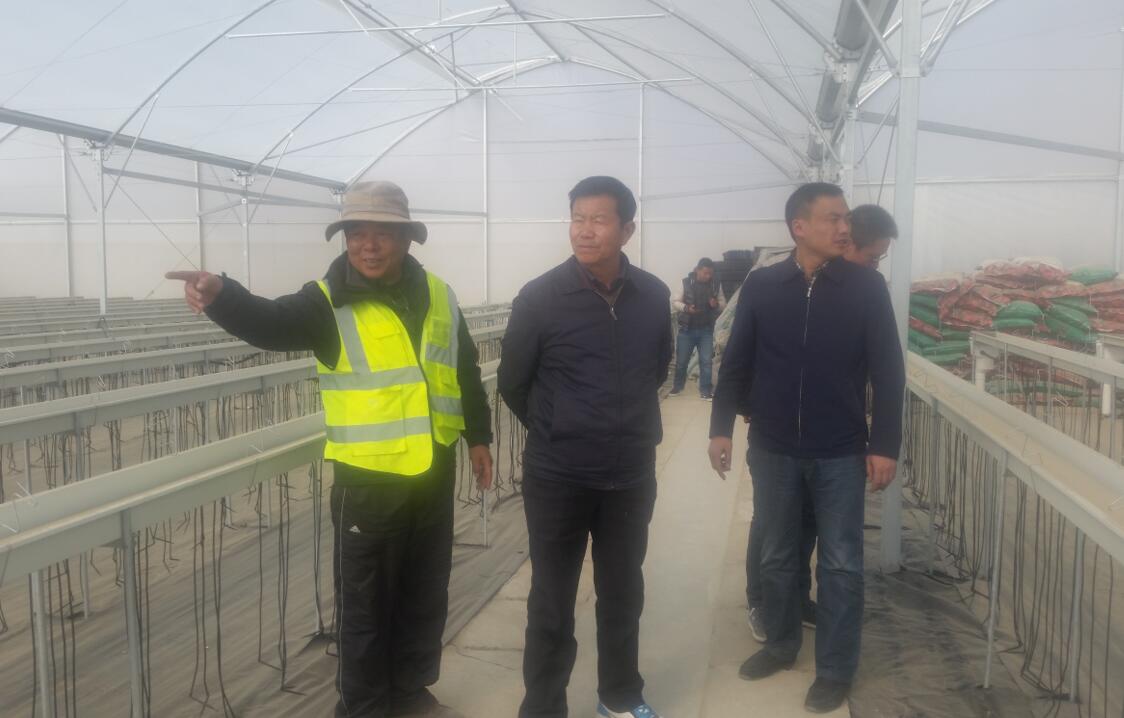 MrCat猫先生电竞(中国)官方网站