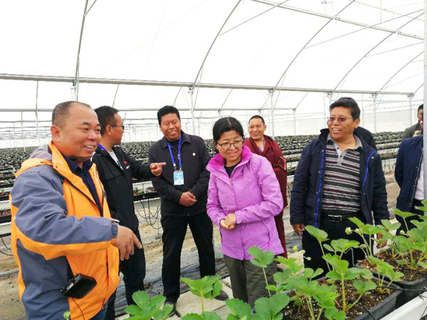 MrCat猫先生电竞(中国)官方网站