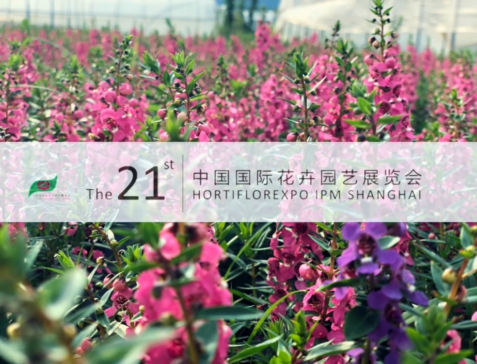 MrCat猫先生电竞(中国)官方网站