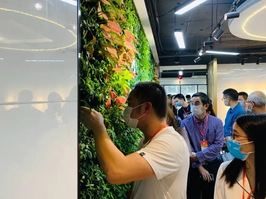MrCat猫先生电竞(中国)官方网站
