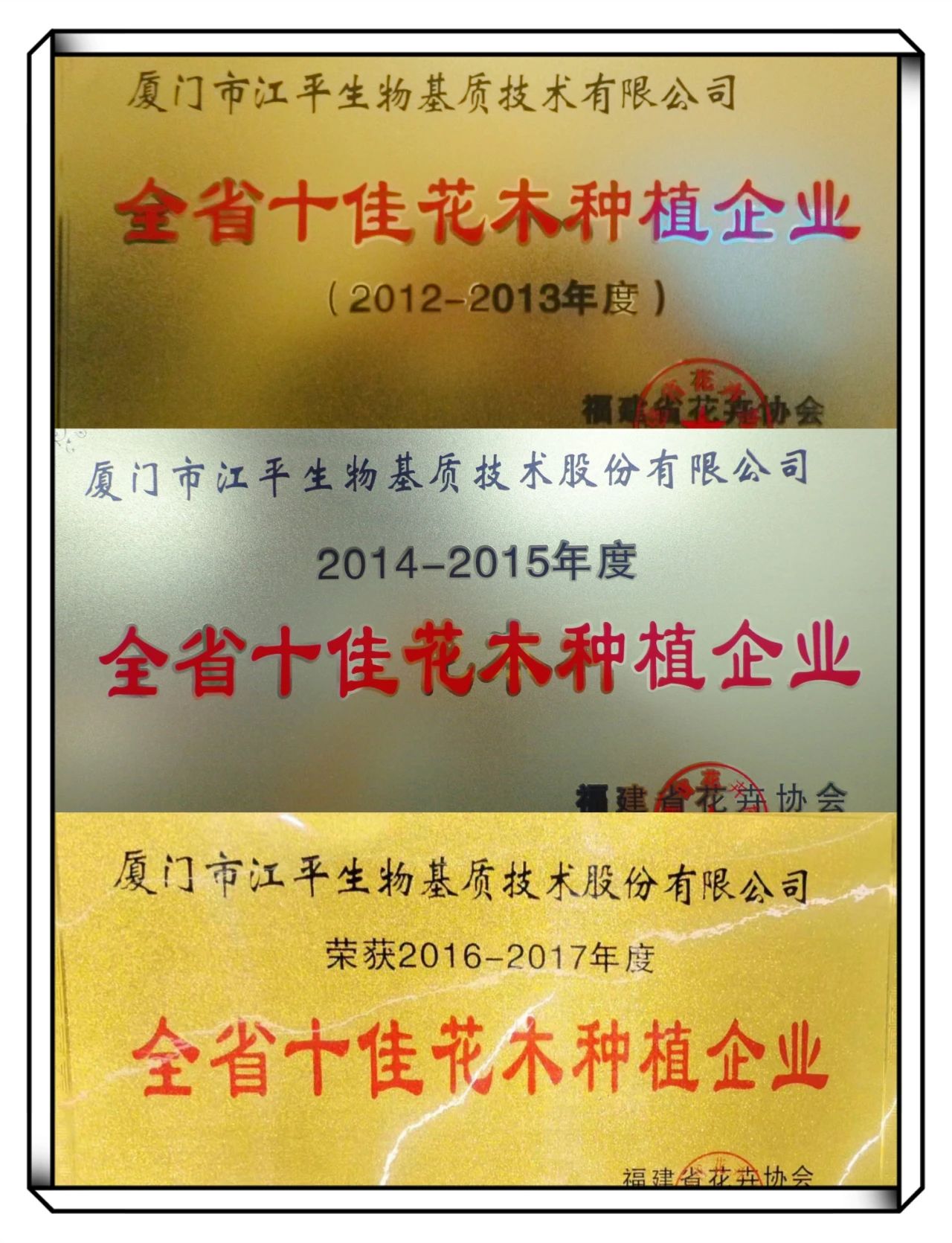 MrCat猫先生电竞(中国)官方网站