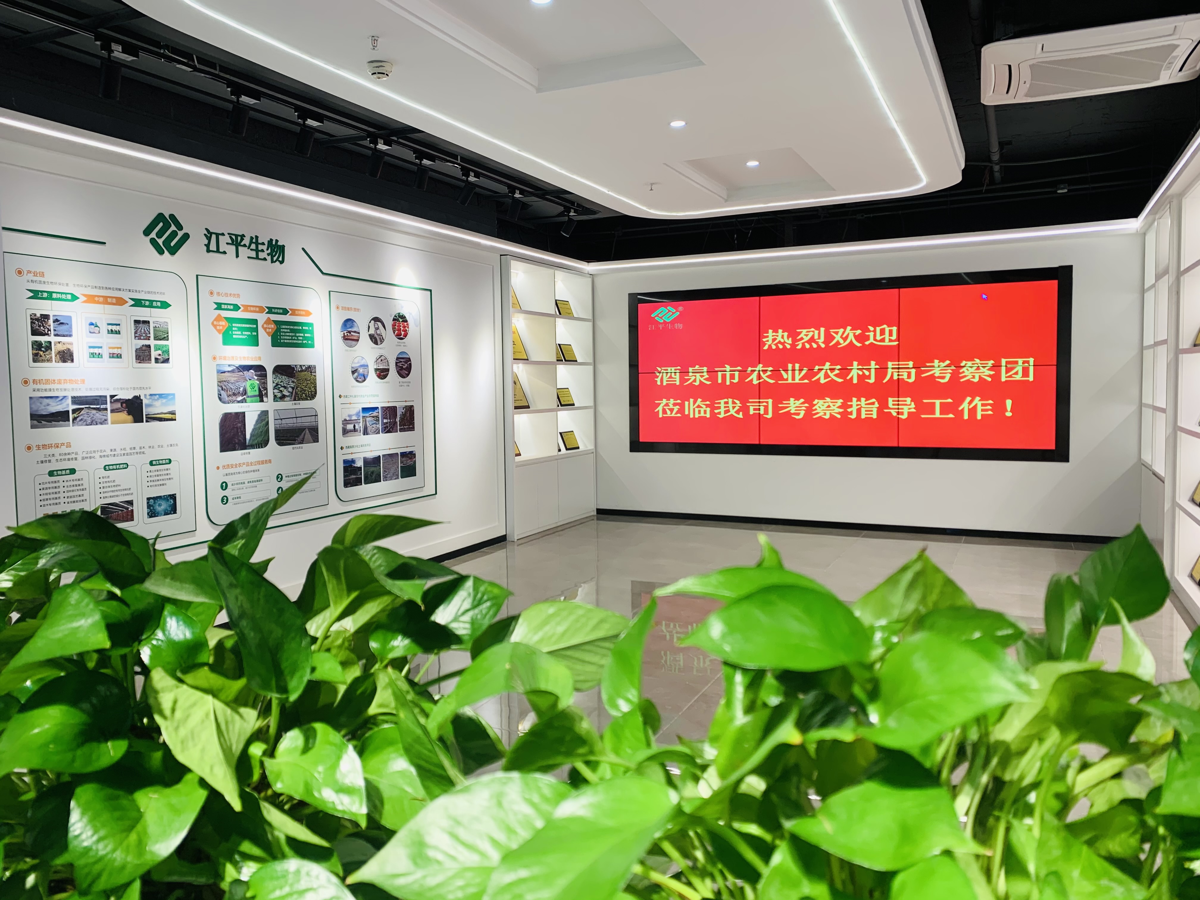 MrCat猫先生电竞(中国)官方网站