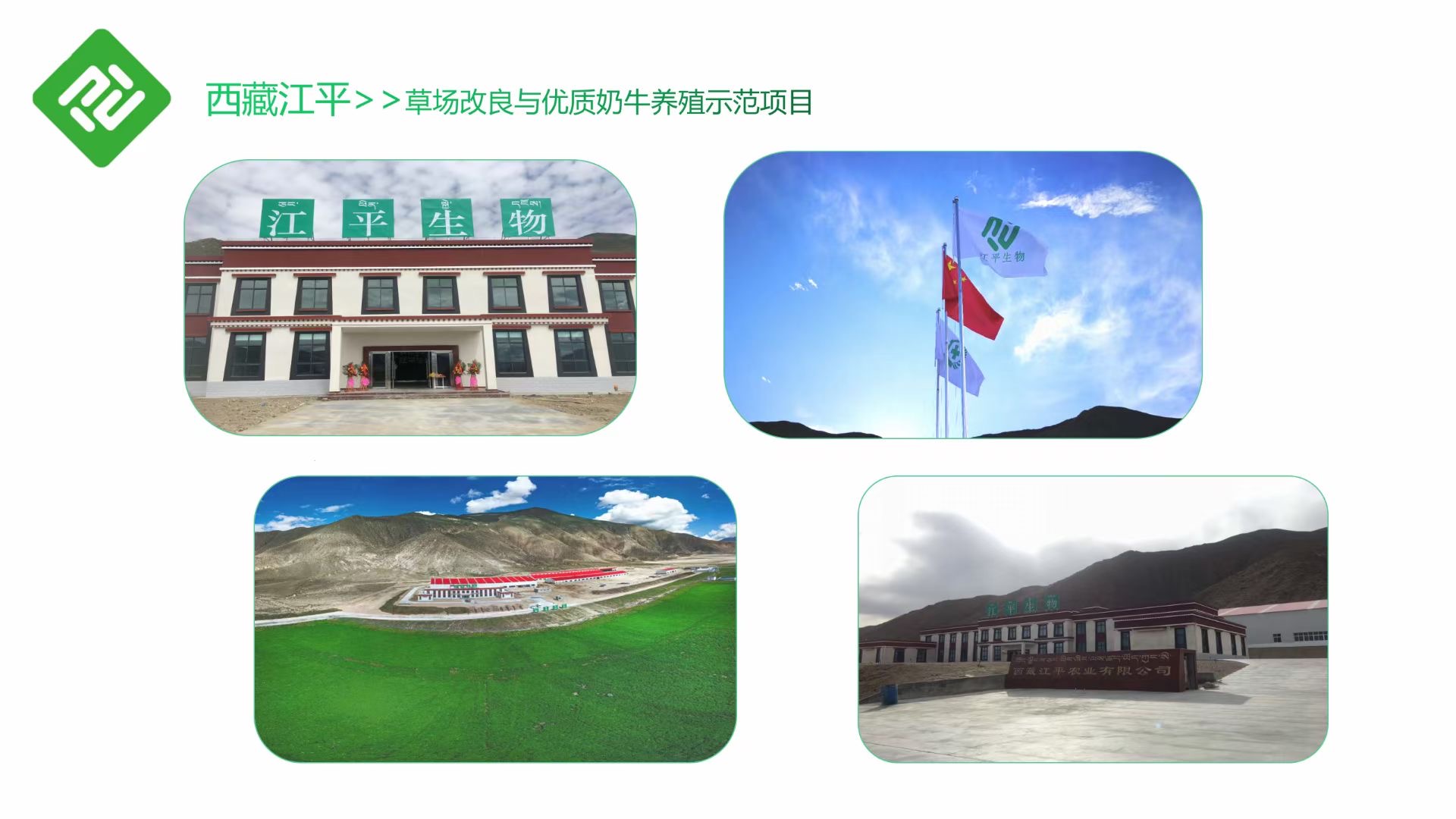 MrCat猫先生电竞(中国)官方网站