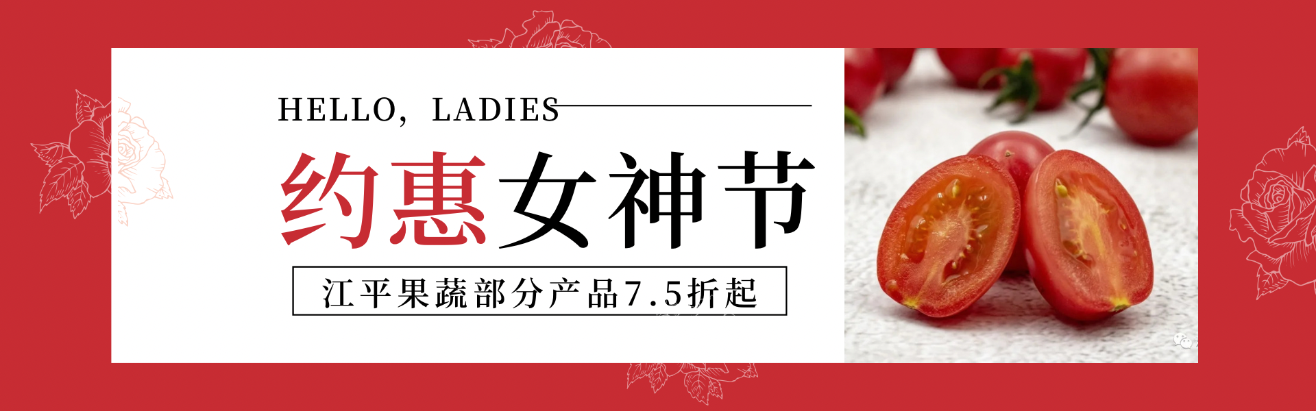 MrCat猫先生电竞(中国)官方网站