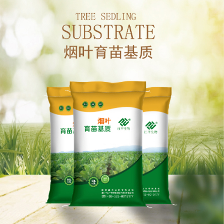 MrCat猫先生电竞(中国)官方网站