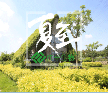 MrCat猫先生电竞(中国)官方网站